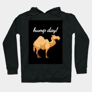 Hump Day! Hoodie